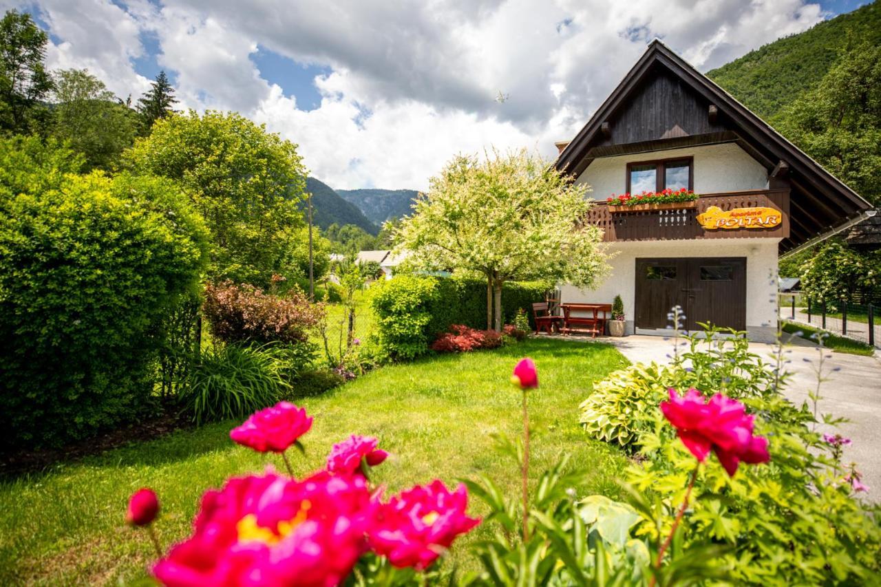 Apartma Boltar Bohinj Zewnętrze zdjęcie